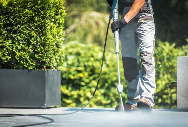 Animal Enclosure Cleaning in El Paso De Robles, CA